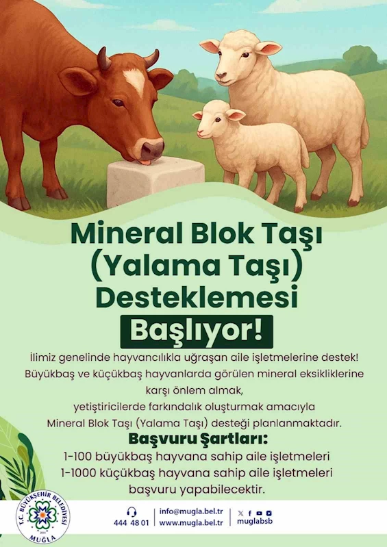 Büyükşehir’den hayvanlara yalama taşı desteği
