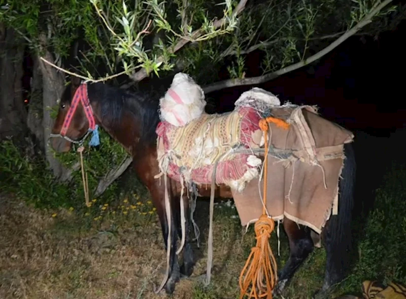 İran’dan katırla yurda sokulan 97 kilogram uyuşturucuya 1 gözaltı
