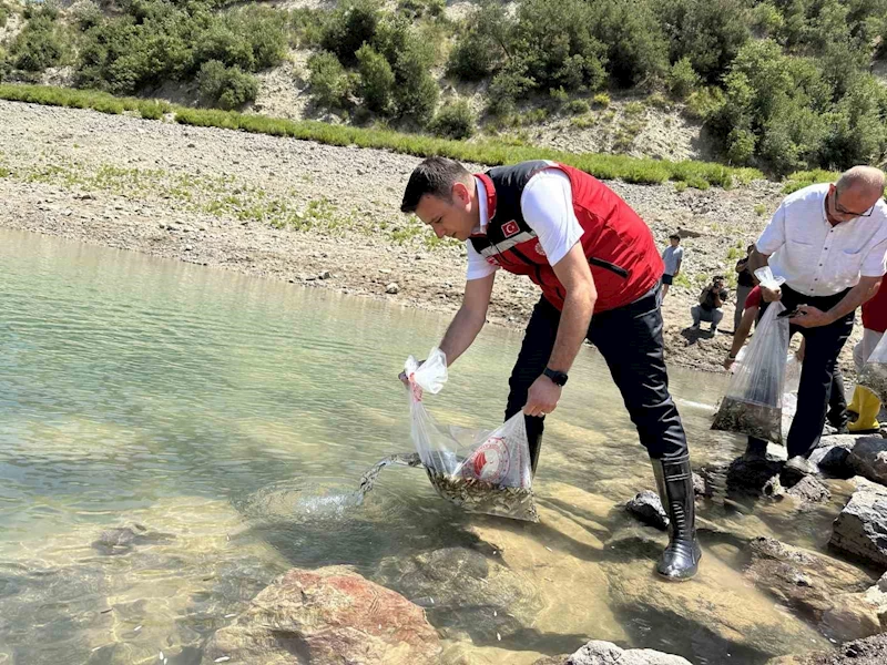 Karacaören Göleti’ne ilk kez 10 bin pullu sazan yavrusu bırakıldı
