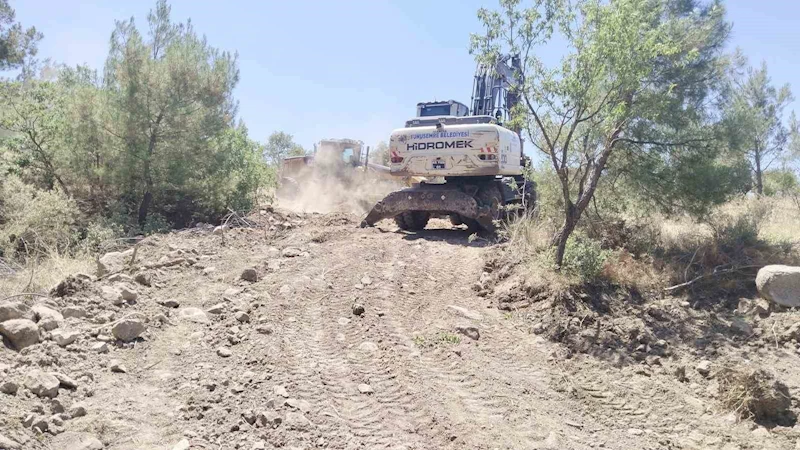 Yunusemre’de özel ağaçlandırma alanlarına bakım
