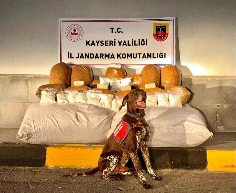 Kayseri