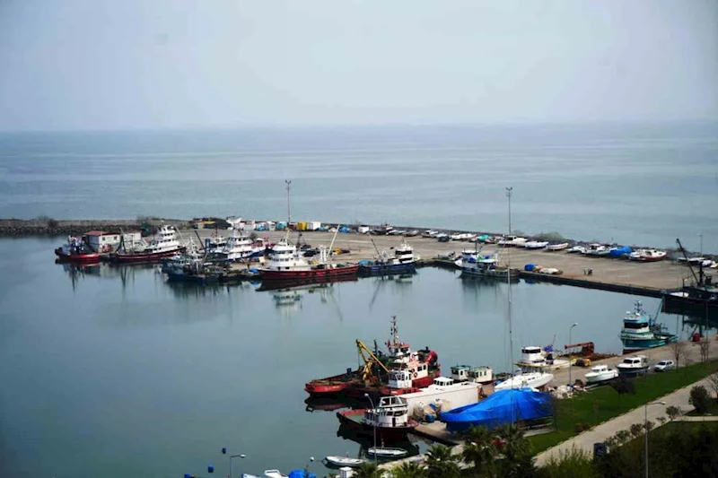 Samsun’da 2025 yılında 65 bin 658 ton balık üretimi planlanıyor

