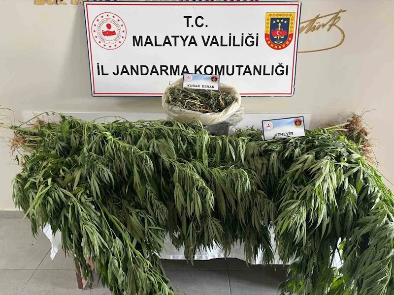 Malatya’da jandarmadan uyuşturucu operasyonu
