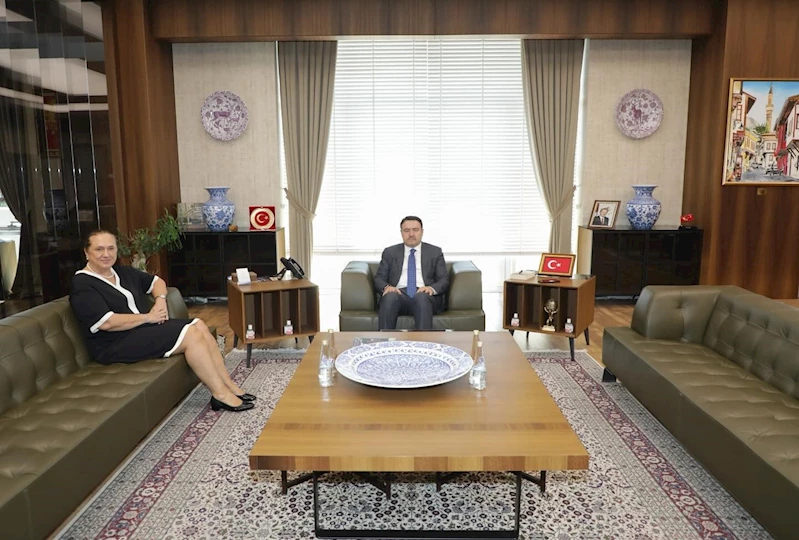 Vali Işın, 