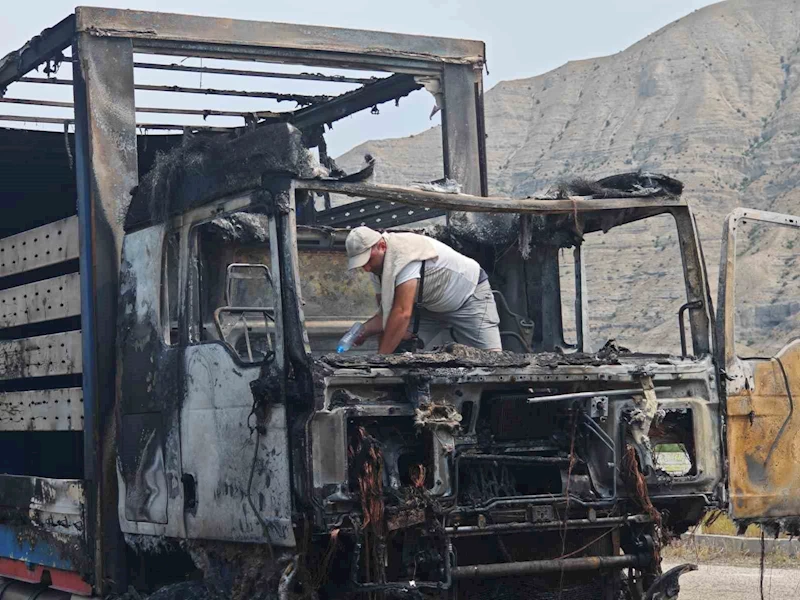 Erzurum-Artvin yolunda tır alev alev yandı
