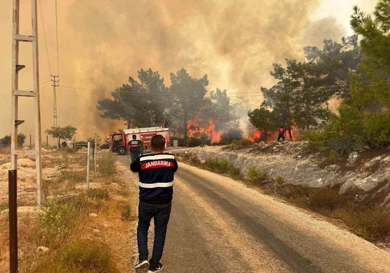 Mersin’deki orman yangınında jandarma ekipleri aktif rol aldı
