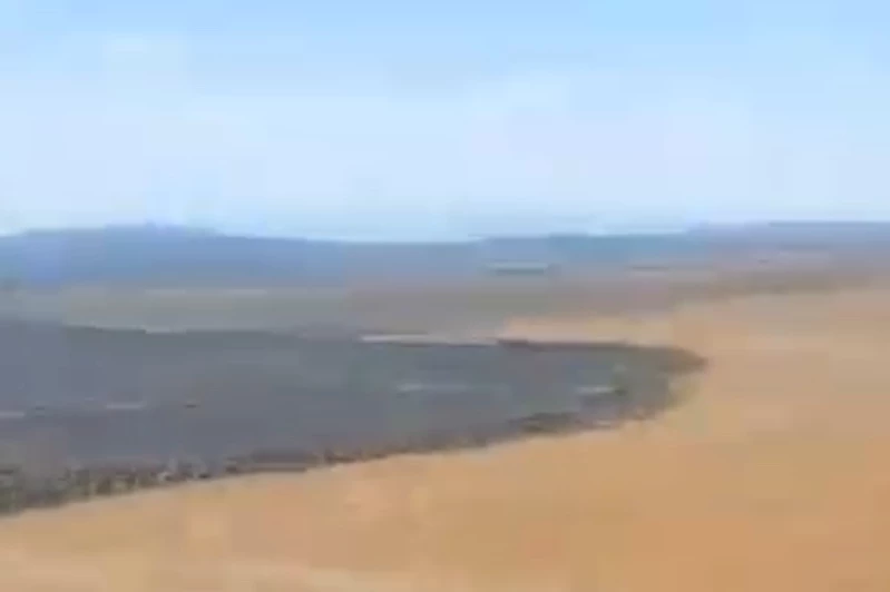 Balıkesir’de tarla yangını sonrası üzücü manzara
