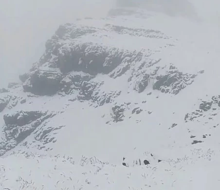 Tuncelili yaylacılar Erzurum’da kara yakalandı
