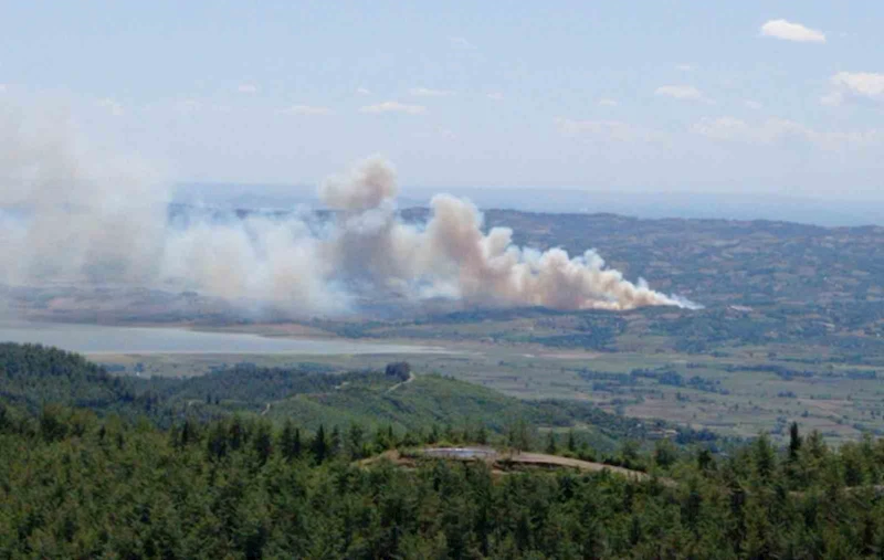 Kahramanmaraş’ta orman yangını
