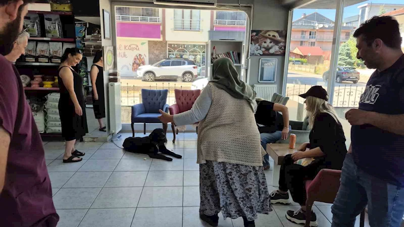 Bir yıl sonra 