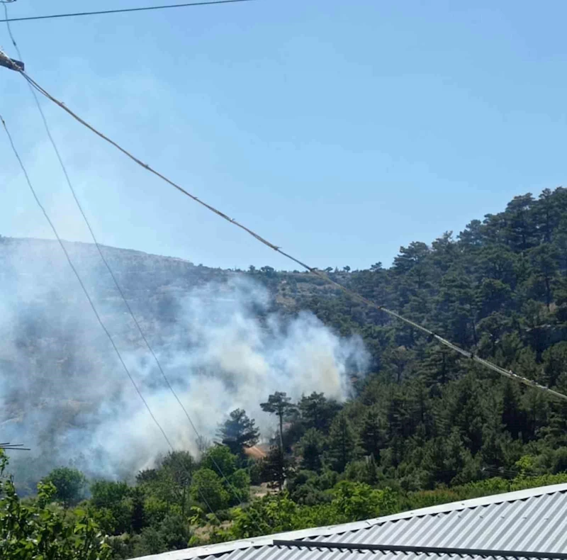 Mersin’deki orman yangını kontrol altına alındı
