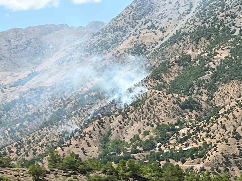 Bingöl’deki orman ve arazi yangınları söndürüldü
