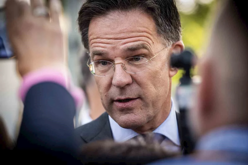 Rutte: 