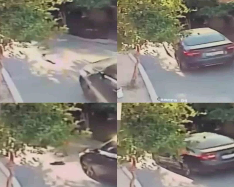 Aracın üzerinden geçtiği köpek telef oldu
