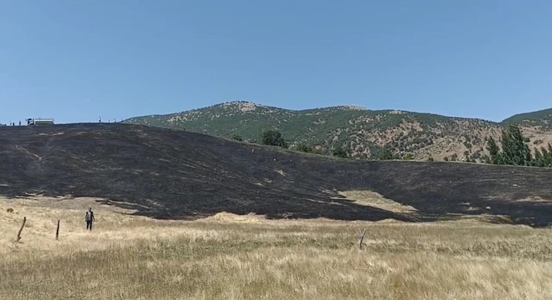 Hizan’da anız yangını, 40 dönüm arazi zarar gördü
