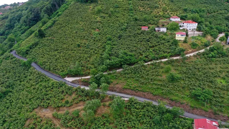 Ordu’nun seyir terasının yolunda sıcak asfalt çalışması

