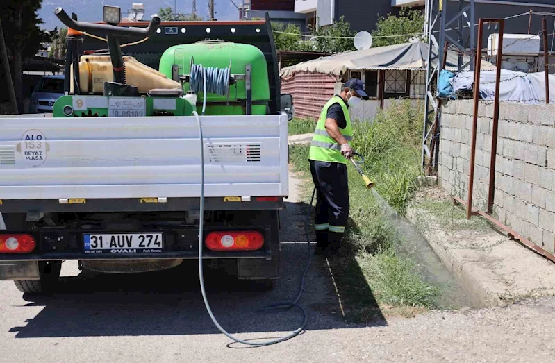 Hatay’da sinek ve haşerelere karşı mücadele 7 gün, 24 saat devam ediyor

