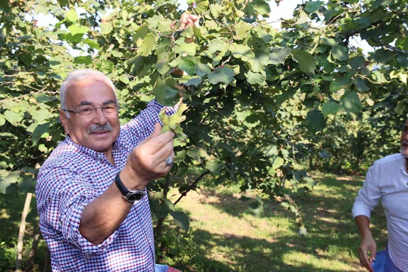Ferrero’ya ’yasak’ geldi
