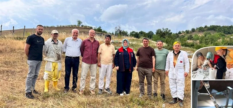 Yığılca arısı için suni tohumlama
