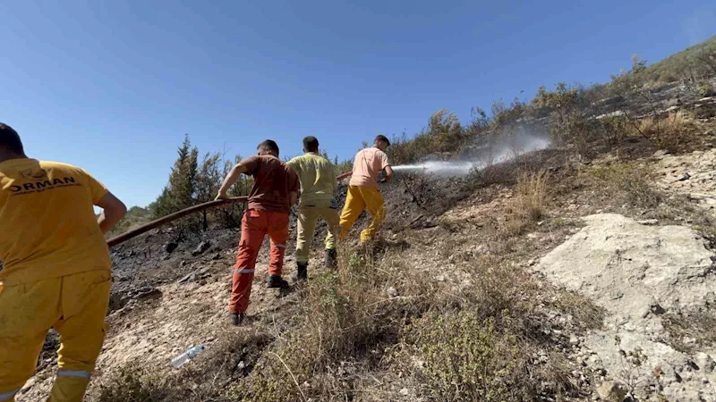Hatay’da orman yangını kısa sürede kontrol altına alındı
