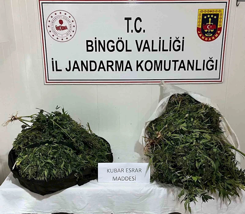 Bingöl’de bagajda ele geçirilen yaklaşık 18 kilogram uyuşturucuya 4 tutuklama
