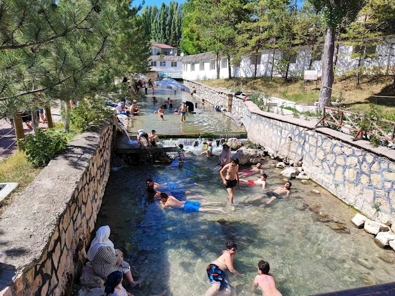 Dünyaca ünlü ‘doktor balıklar’ mührün kaldırılmasını bekliyor
