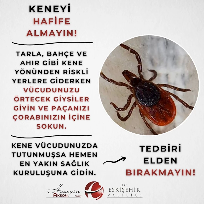 Eskişehir Valiliği’nden kene uyarısı
