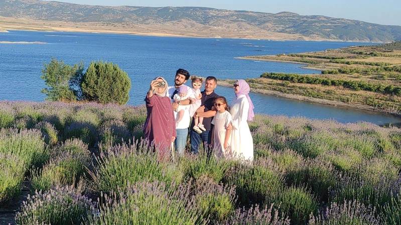 Lavanta bahçeleri fotoğraf platolarına dönüştü
