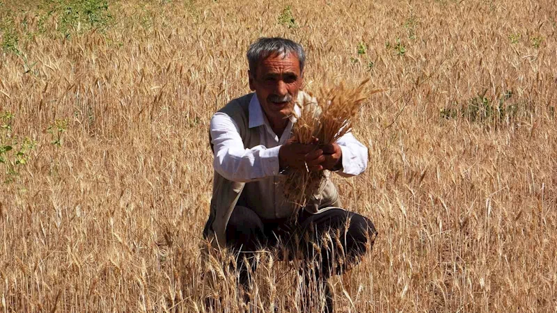 Vanlı çiftçiler sulama göleti istiyor
