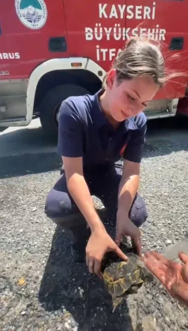 Yangında mahsur kalan kaplumbağaya itfaiyeden yardım eli