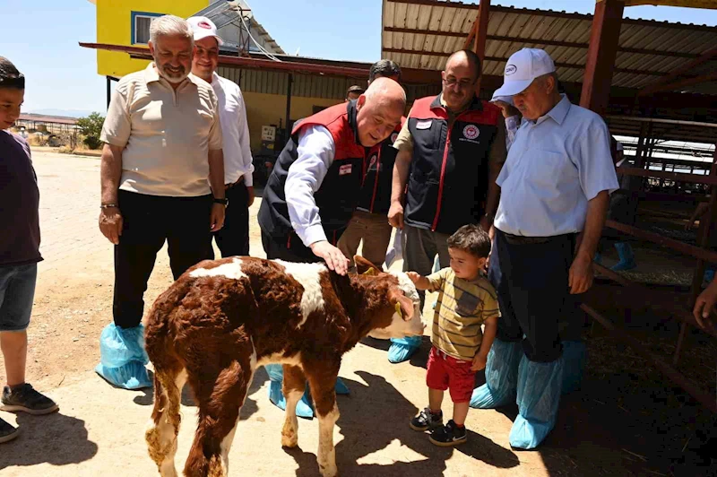 Denizli’de 511 bin ton inek sütü üretiliyor
