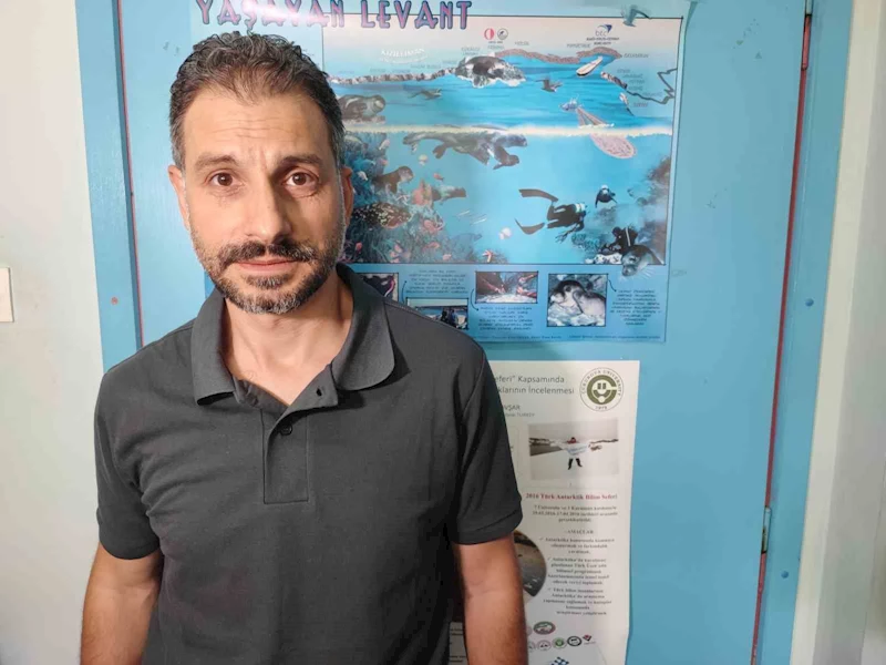 Akdeniz’de deniz suyu sıcaklığı arttı zehirli balıklar geldi
