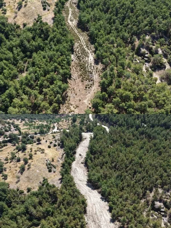 Çine’de orman yangınlarına karşı önleyici temizlik çalışması yapıldı
