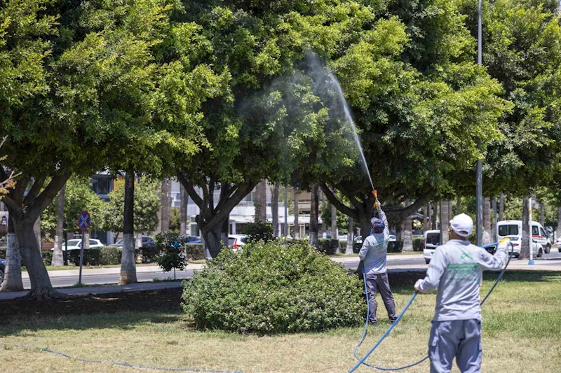 Mersin’de yaz boyunca kesintisiz ilaçlama
