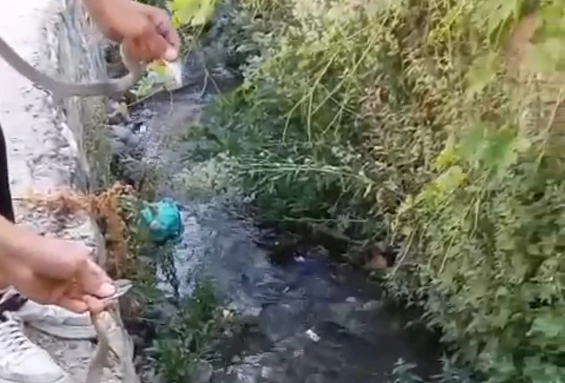 Hakkari’de toprak evin tavanına yuva yapan yılanlar doğaya salındı

