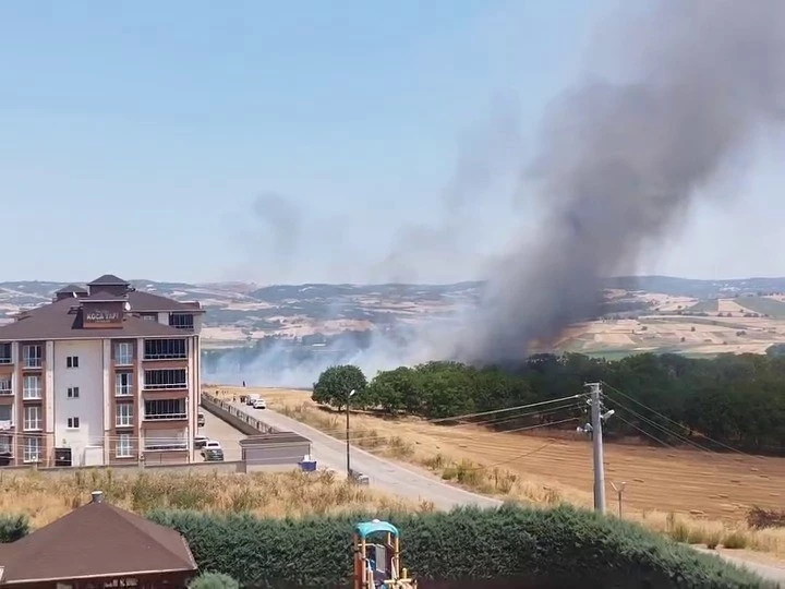 Bursa’da korkutan anız yangını
