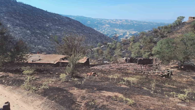 Yangından geriye küle dönen evler ve tarlalar kaldı

