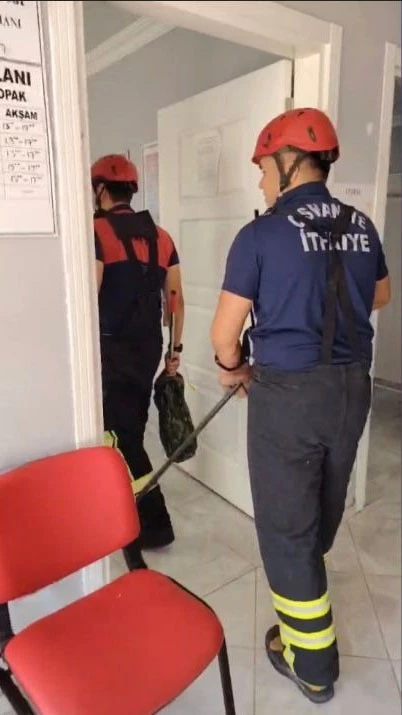 Osmaniye’de aile sağlığı merkezine giren yılan paniğe neden oldu
