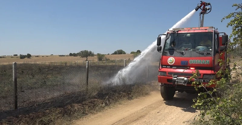 Kırklareli’nde çıkan yangında 20 dekar ceviz bahçesi zarar gördü
