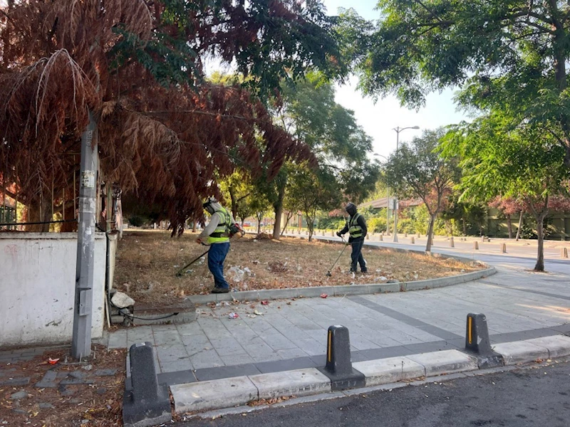 Silivri Belediyesi’nden yangınlara karşı önlem: Ot biçme ve temizlik çalışmaları yapıldı
