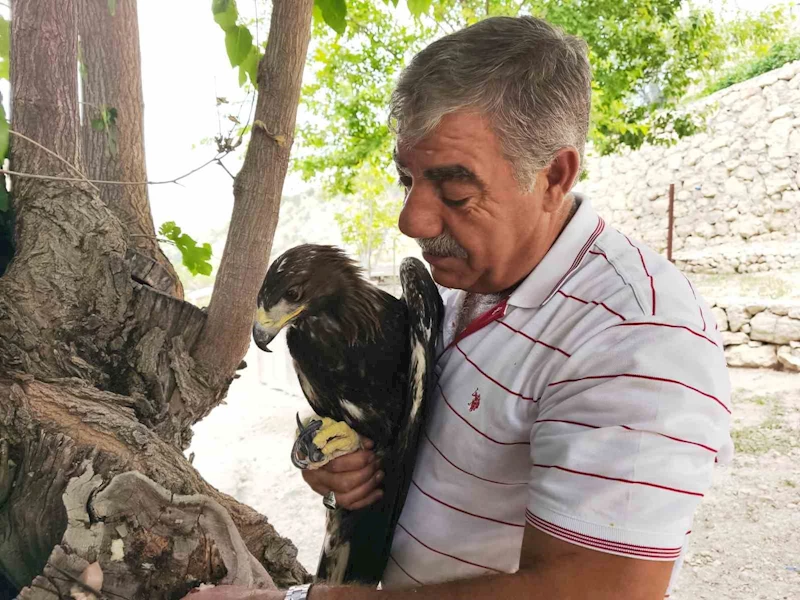 Kaya kartalı ile şahsın dostluğu görenleri şaşırtıyor
