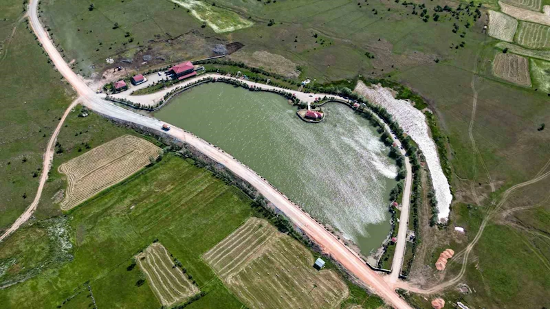 Şehirde kavrulanlar yaylada serinliyor

