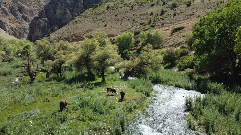 Girlevik Şelalesi’ne hayat veren gözeler, ziyaretçilerin uğrak yeri oldu
