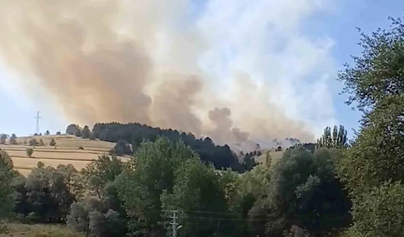 Çankırı’da orman yangını
