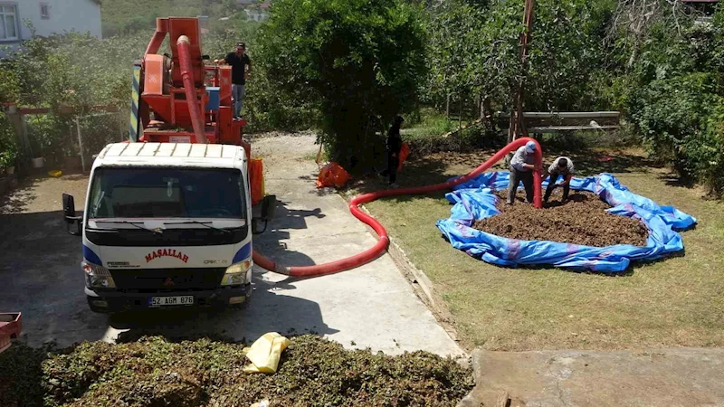 Fındıkta patoz mesaisi başladı: Saatlik ücreti 4 bin 500 TL
