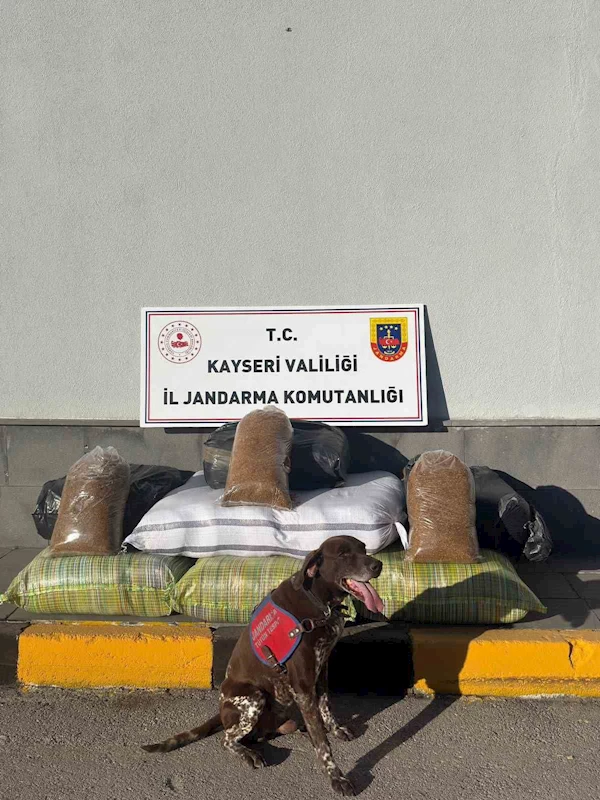 Kimlik kontrolü yapılan otobüste kaçak tütün çıktı