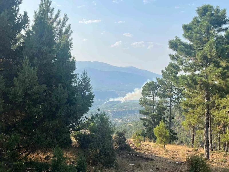 Denizli’de sarp bölgede devam eden yangına müdahale ediliyor
