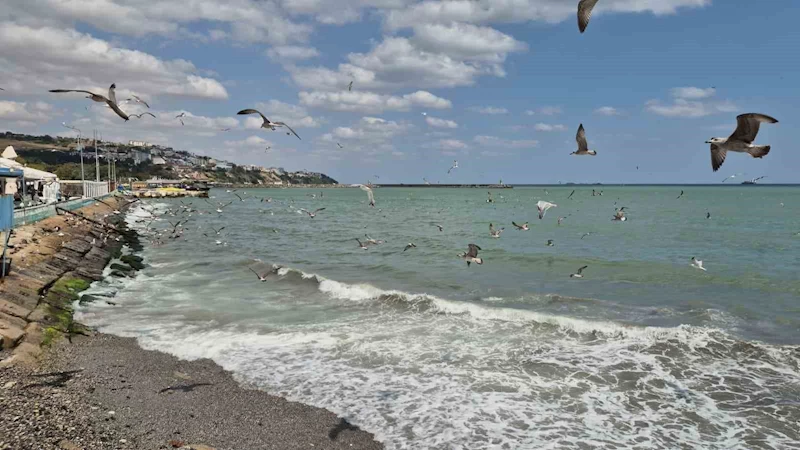 Tekirdağ’da poyraz deniz ulaşımını aksattı
