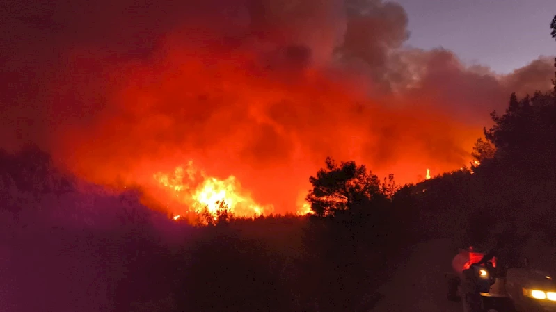 Hatay’da orman yangını

