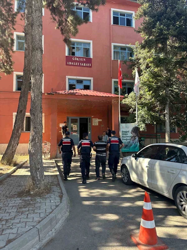 Orman yangınına neden olan şahıs yakalanıp tutuklandı
